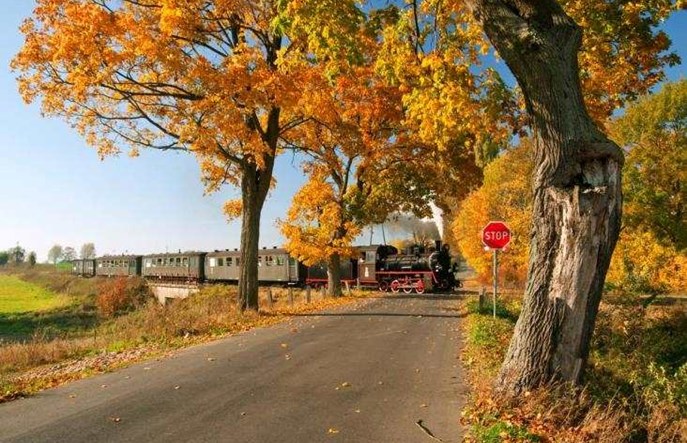 Parowozy wąskotorowe w 2018 r.