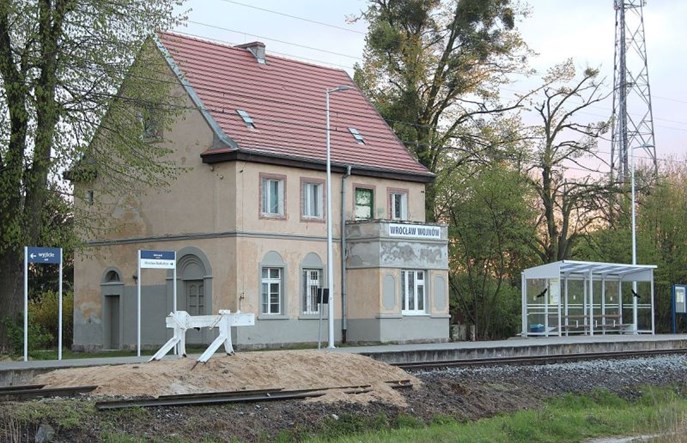 Oferty na linię Wrocław Sołtysowice – Jelcz znacznie poza kosztorysem