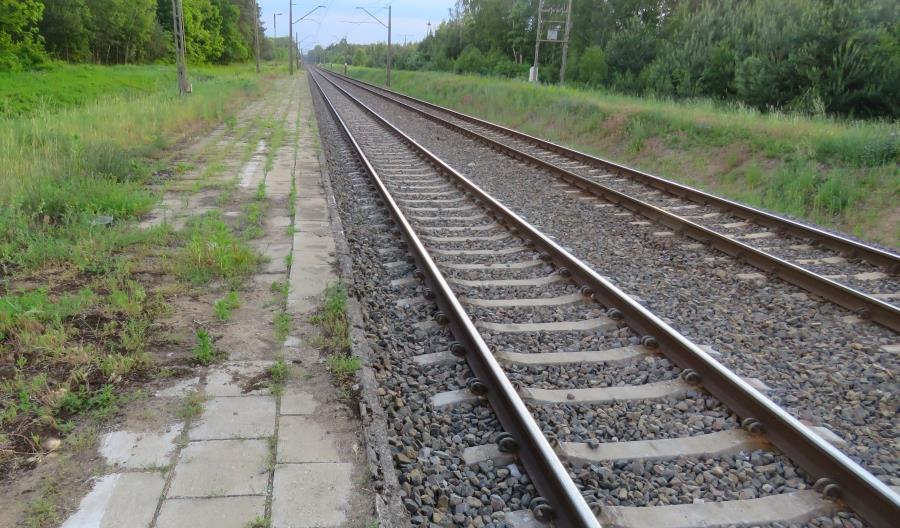 PLK poszukuje wykonawcy projektu i nadzorcy inwestycji na linii S-Ł PLK poszukuje wykonawcy projektu i nadzorcy inwestycji na linii S-Ł
