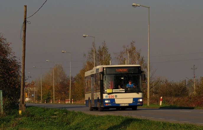Tarnobrzeg szuka przewoźnika na 2 lata. Po raz ostatni?