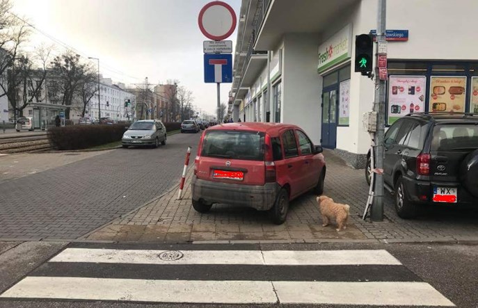 Warszawa. Czego nie widać z limuzyny?