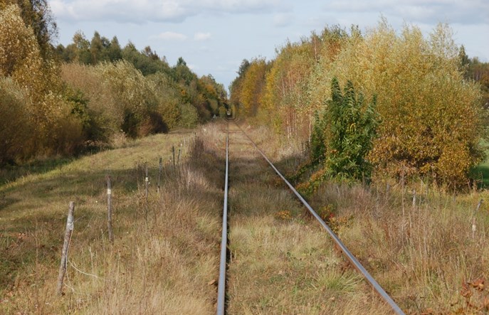 Lubelskie: Linia Chełm – Włodawa w programie „Kolej Plus”