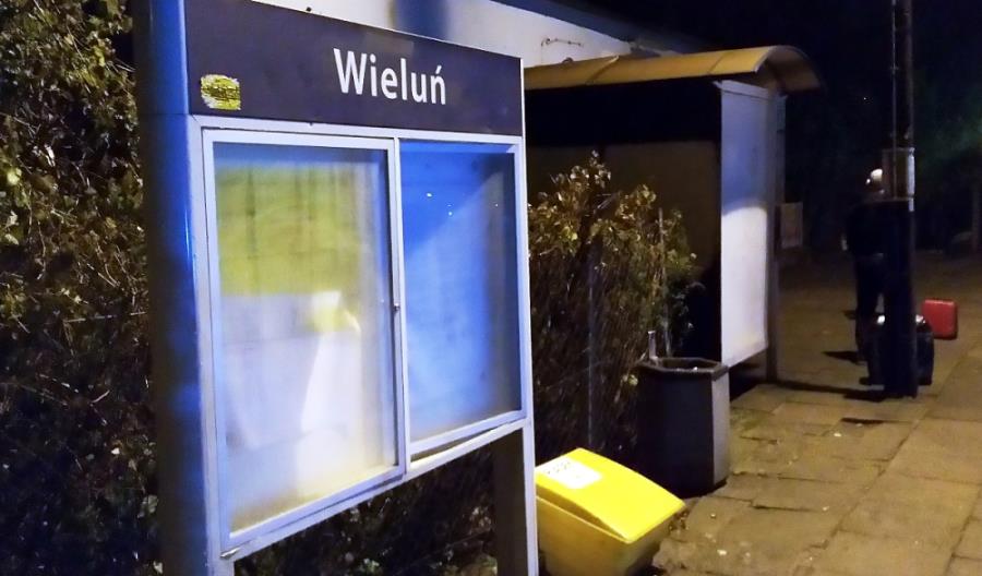 Ziemia Wieluńska: Znaczenie kolei nadal marginalne Ziemia Wieluńska: Znaczenie kolei nadal marginalne