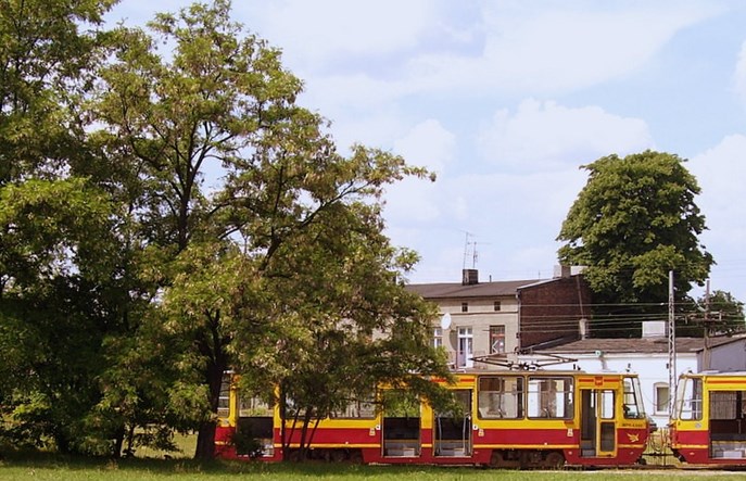 MPK Łódź: Wkrótce kasacje licznych 805N