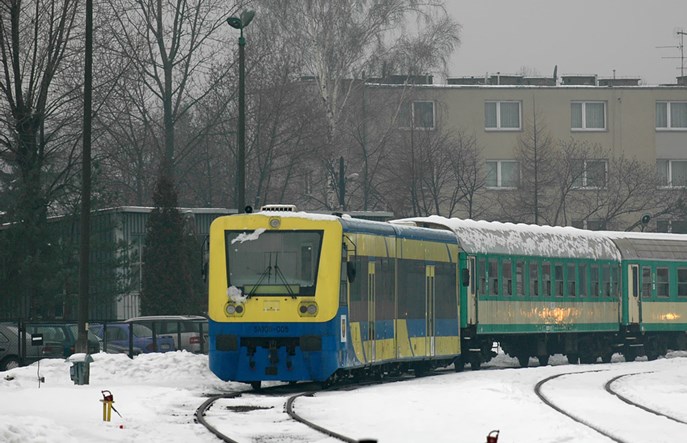 Regiovany SA109 Kolei Śląskich do kupienia