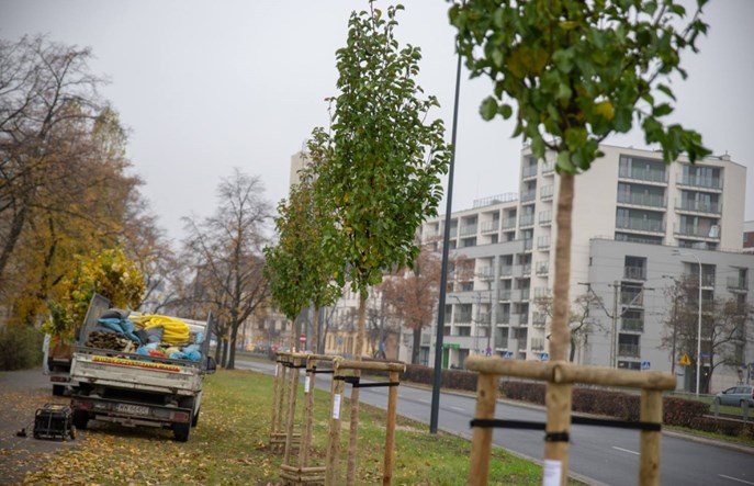 Warszawa: Rekordowe remonty chodników. Będzie więcej zieleni