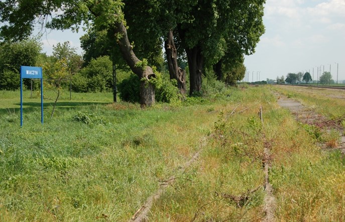 Lubelskie: Powstanie stacja pasażerska Miączyn w nowej lokalizacji?
