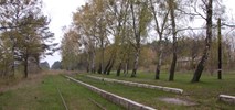 Drzewa legalnie bliżej torów