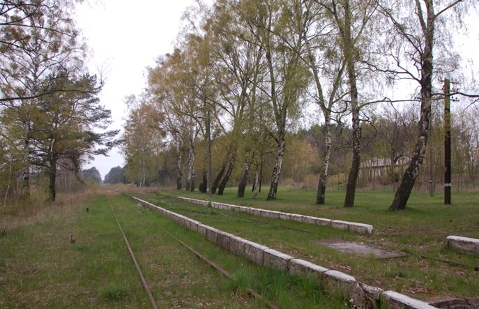 Drzewa legalnie bliżej torów