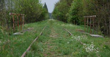 Podlaskie: Brak decyzji dotyczącej finansowania rewitalizacji linii do Białowieży