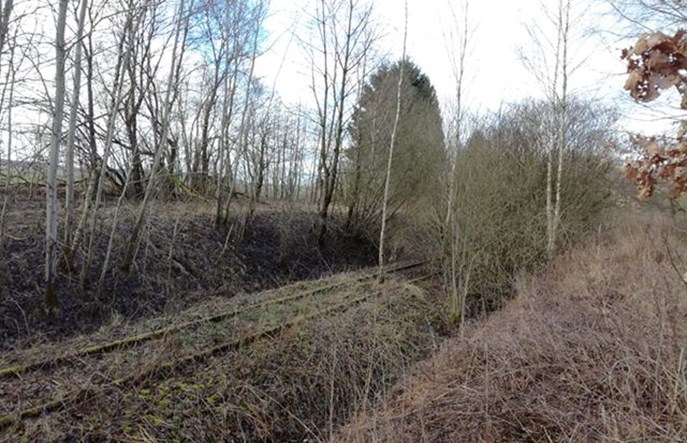 Polityczna scysja wokół przewozów pasażerskich na linii 410