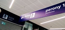 Gdańsk: Galeria Metropolia chce być dworcem bez kasy?