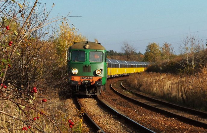 Szybko rosnące przewozy intermodalne szansą dla kolei i gospodarki w Polsce 