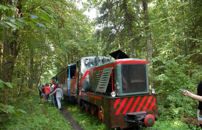 Jak turystyczne koleje wąskotorowe pojadą w pierwszych dniach maja?