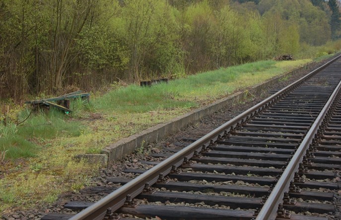 Podlaskie: Reaktywacja połączeń pasażerskich do Siemianówki