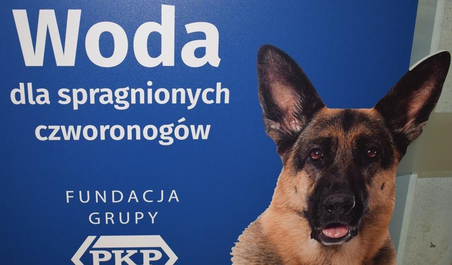 Fundacja Grupy PKP: Zadbajmy o czworonogów Fundacja Grupy PKP: Zadbajmy o czworonogów