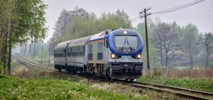 Gamy znów w Hrubieszowie i Przeworsku