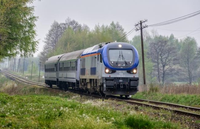 Gamy znów w Hrubieszowie i Przeworsku