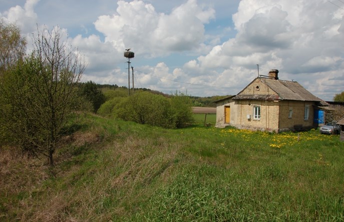 Podlaskie: Późniejsza reaktywacja połączeń pasażerskich na trasie Lewki – Hajnówka