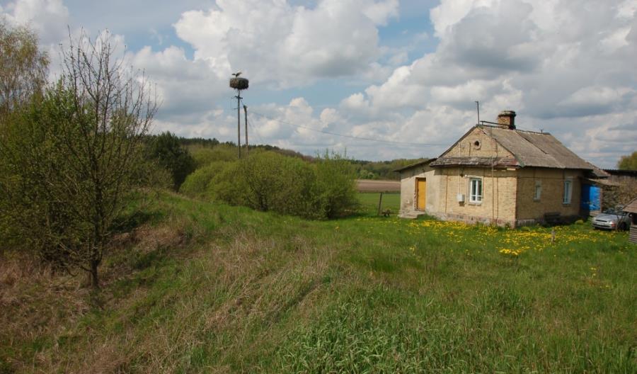 Podlaskie: Późniejsza reaktywacja połączeń pasażerskich na trasie Lewki – Hajnówka Podlaskie: Późniejsza reaktywacja połączeń pasażerskich na trasie Lewki – Hajnówka