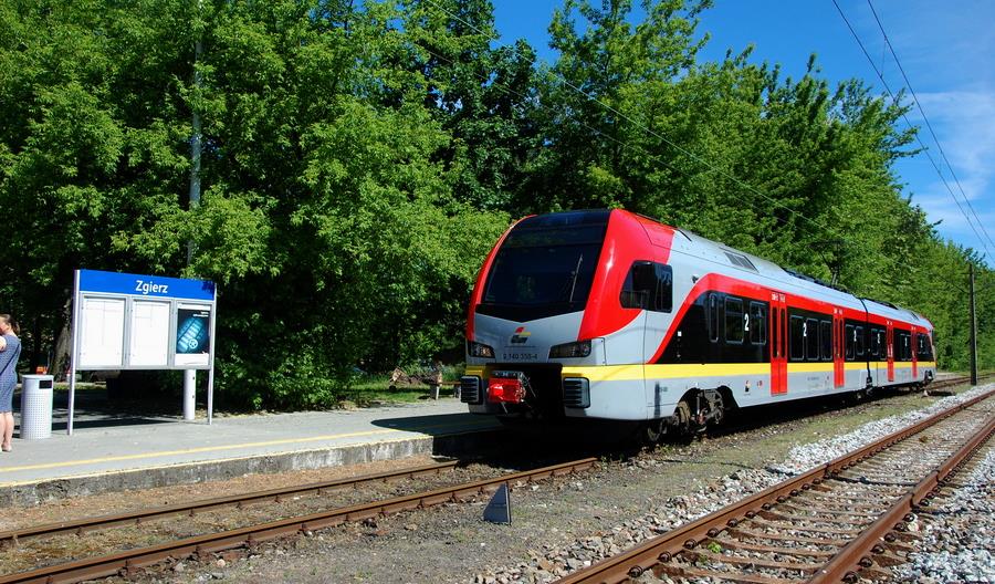 Drzewa przy liniach kolejowych zostają. Jest nowelizacja Drzewa przy liniach kolejowych zostają. Jest nowelizacja