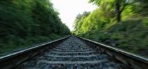Strategia Zrównoważonego Rozwoju Transportu do 2030 r. przyjęta 