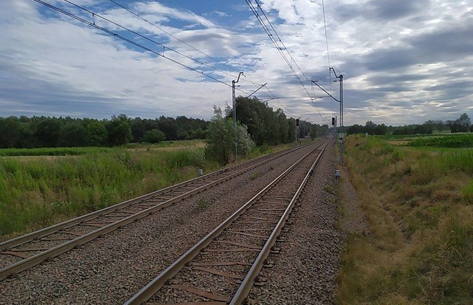 Powalone drzewa zatarasowały tory pomiędzy Wrocławiem a Legnicą [aktualizacja]