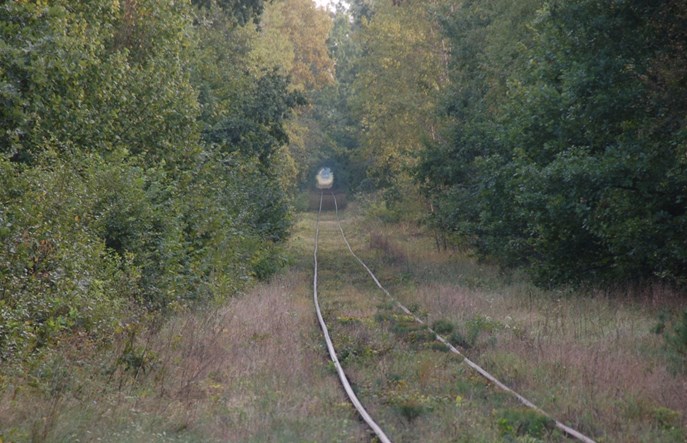 Lubelskie: Linia Chełm – Włodawa z potencjałem turystycznym