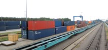 PKP Cargo wybrało dostawcę kolejnych 220 nowych platform intermodalnych