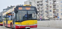 MPK-Łódź z ofertami od podwykonawców na obsługę linii za tramwaj