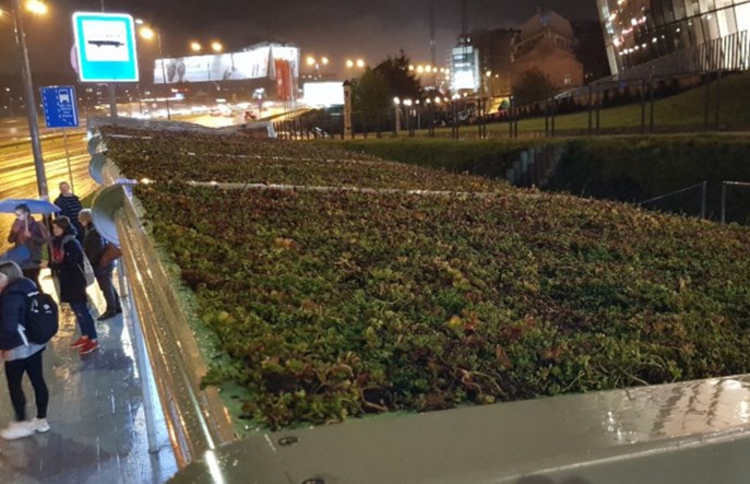 Kraków z zielonym przystankiem na rondzie Grunwaldzkim
