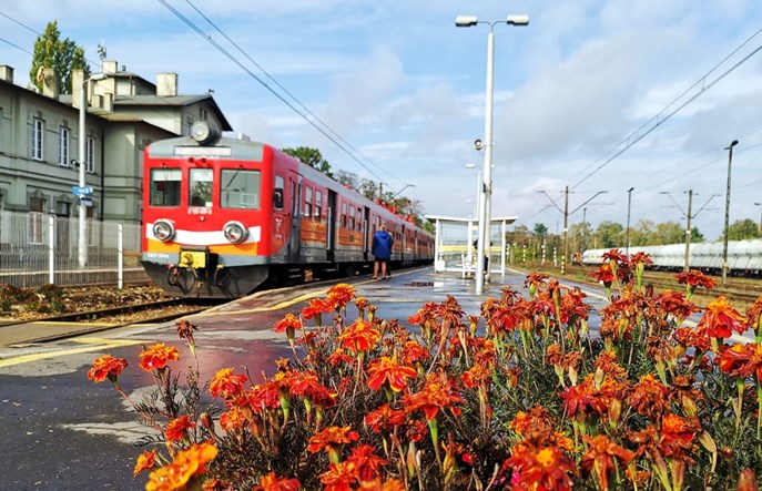 Koluszki – Tomaszów Maz.: Weekend bez pociągów. Remont łącznicy 534