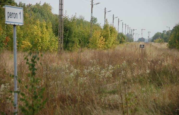 Krajowy plan transportowy: Znikają Mikołajki, będzie Chorzele i Wielbark