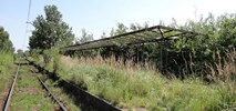 Śląskie: Nieczynny przystanek kolejowy Wyry będzie przeniesiony