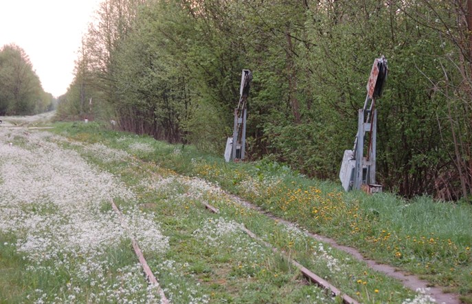 Podlaskie: Kolej do Białowieży bez rewitalizacji w najbliższym czasie