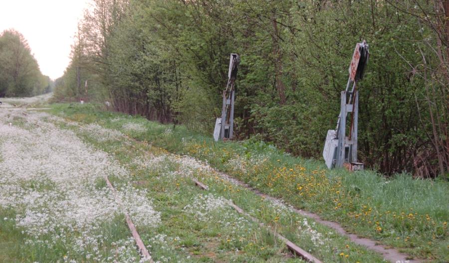 Podlaskie: Kolej do Białowieży bez rewitalizacji w najbliższym czasie Podlaskie: Kolej do Białowieży bez rewitalizacji w najbliższym czasie