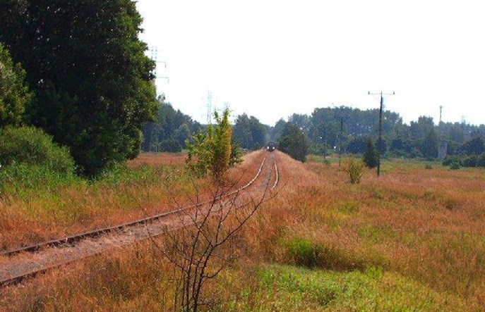 Zelów: Niewykorzystana szansa na kolej czy niepotrzebna od lat infrastruktura towarowa?