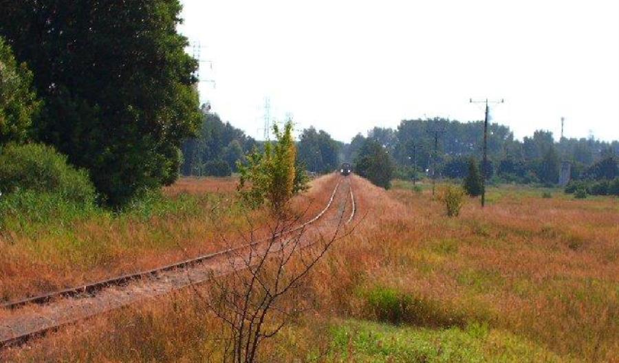 Zelów: Niewykorzystana szansa na kolej czy niepotrzebna od lat infrastruktura towarowa? Zelów: Niewykorzystana szansa na kolej czy niepotrzebna od lat infrastruktura towarowa?
