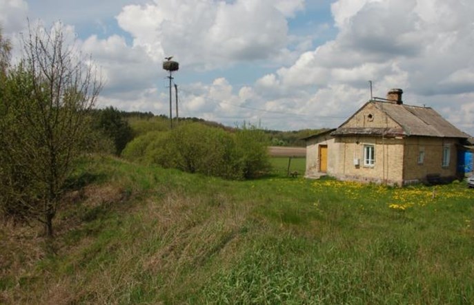 Podlaskie: Między Lewkami a Hajnówką wykonano ponad 90% prac