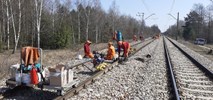 Zaczęły się kolejne prace na linii nr 22 Radom – Radzice