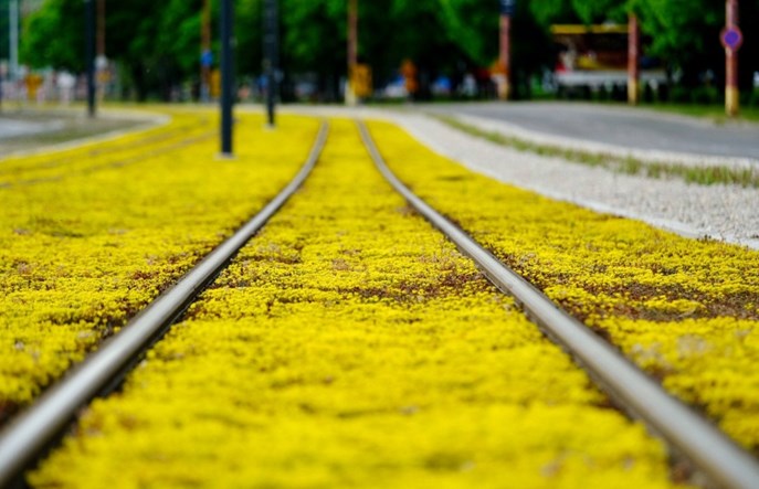 Bratysława chce doprowadzić tramwaj pod lotnisko