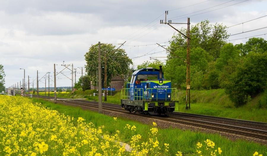 PKP Cargo w I kw. 2020: Przychody pikowały, pensje wzrosły PKP Cargo w I kw. 2020: Przychody pikowały, pensje wzrosły