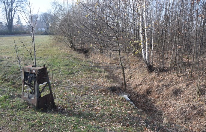 Dolny Śląsk przejmie linie kolejowe z Gryfowa do Świeradowa