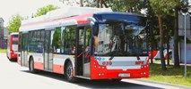 Częstochowa: Jedna oferta na doprowadzenie do sprawności 24 hybryd