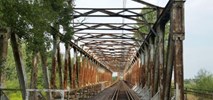 Duże zainteresowanie przetargiem na budowę mostów na linii Wrocław – Jelcz