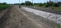 Opolskie: Nie ma przystanku, choć zaczęto budowę peronu