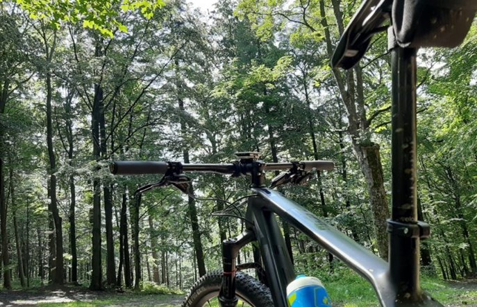 Koleje Śląskie rozszerzają możliwość rezerwacji miejsca na przewóz roweru w pociągu