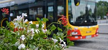 Kwiaty na warszawskich pętlach autobusowych i tramwajowych