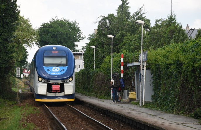 Koleje Czeskie na razie nie kupią 60 spalinowych pojazdów. Oferty złożyła Pesa, Newag i CAF