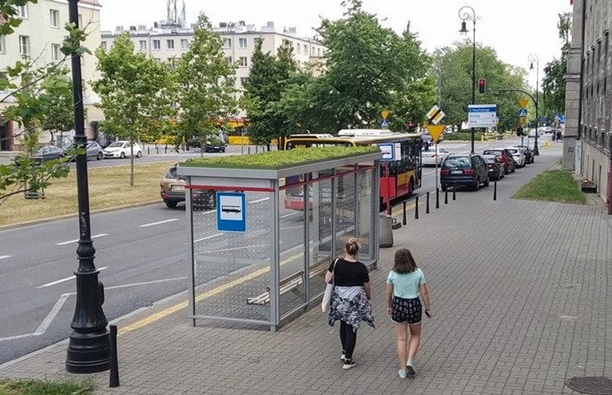 Warszawa: Zielona wiata na Żoliborzu